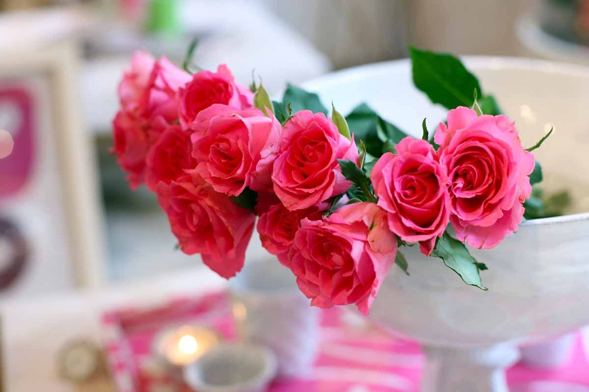 Як зберегти троянди у вазі якомога довше?