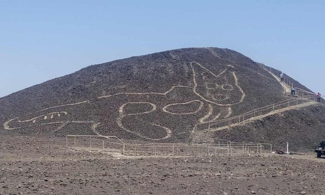 У Перу виявили геогліф у вигляді кота: дуже схоже! - фото 432038