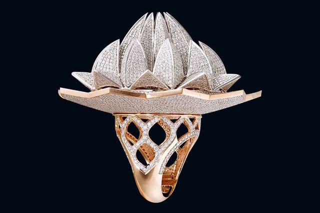 Ювелір створив перстень з рекордною кількістю діамантів: фотофакт - фото 432288