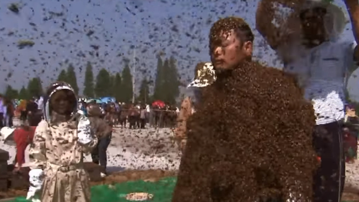 Шалений Рекорд Гіннеса: китайця обліпили десятками кілограм бджіл - фото 1