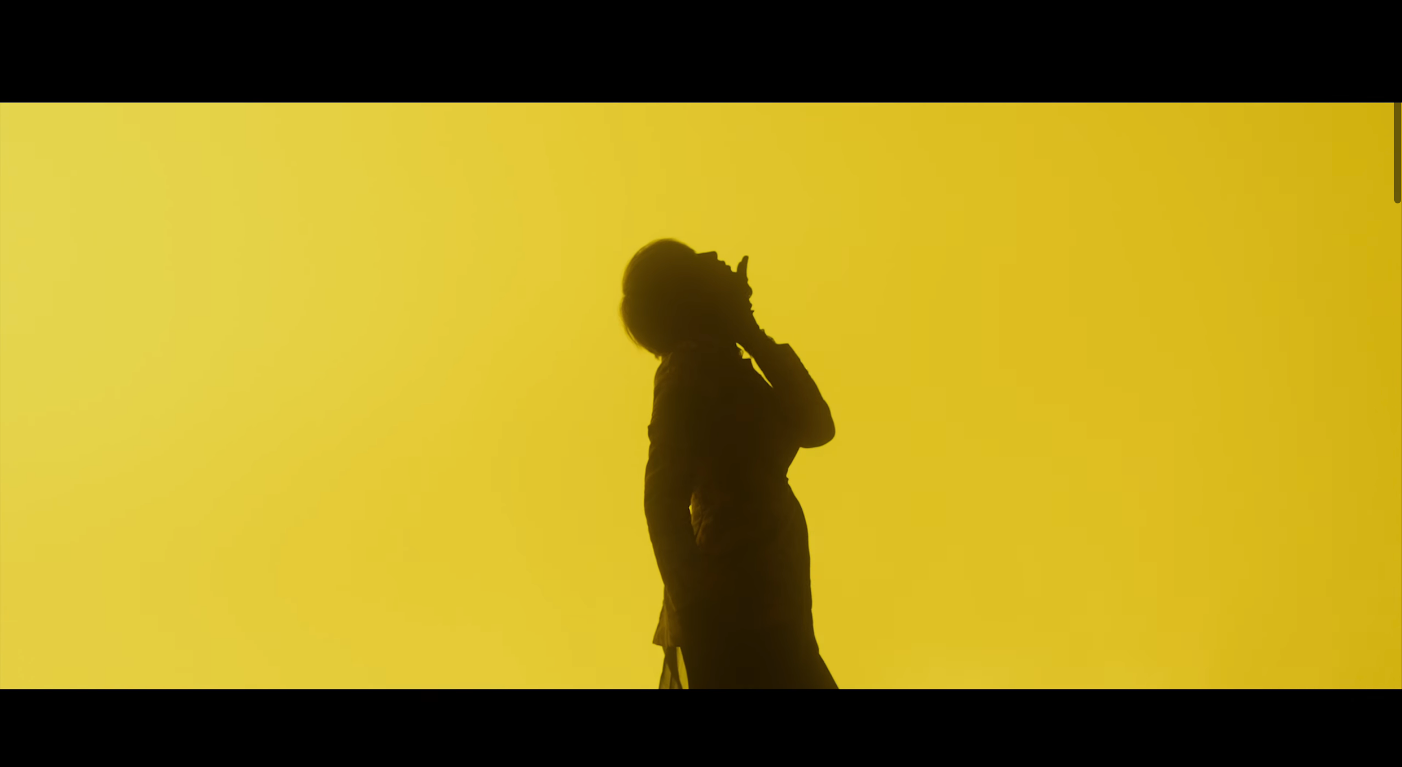 Звуки Чорнобиля: співачка KRUTЬ випустила потужний кліп Кімната