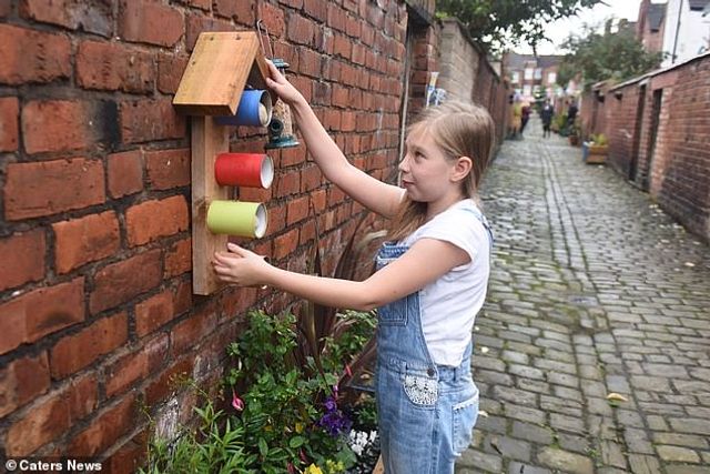Сусіди своїми руками змінили занедбану вулицю до невпізнання - фото 432579