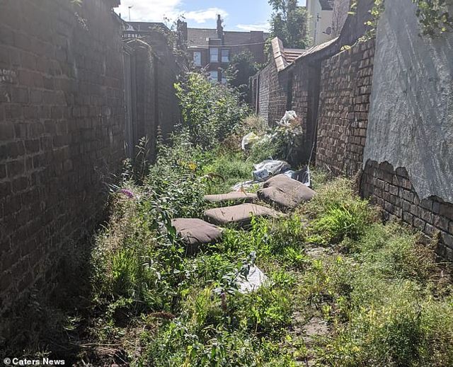 Сусіди своїми руками змінили занедбану вулицю до невпізнання - фото 432582