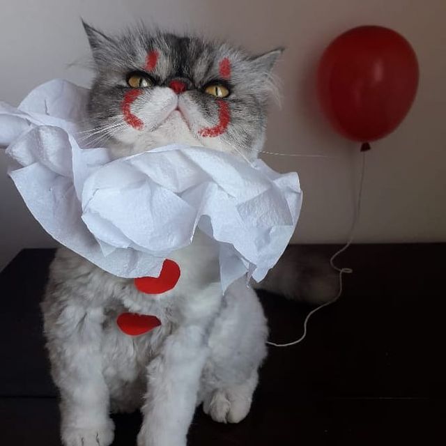 Макіяж на Хеловін 2020: ідеї мейкапу та фото гриму в домашніх умовах - фото 432664