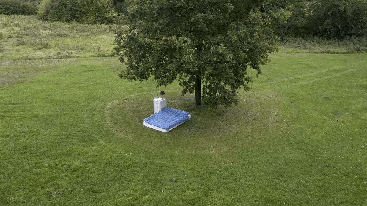 Нічліг у полі на Airbnb - фото 1