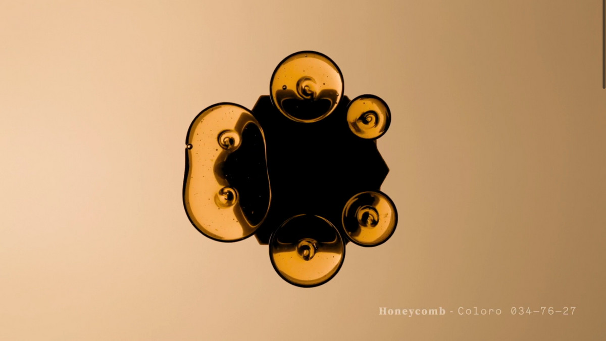 Важливий колір майбутнього сезону – жовтий Honeycomb - фото 1