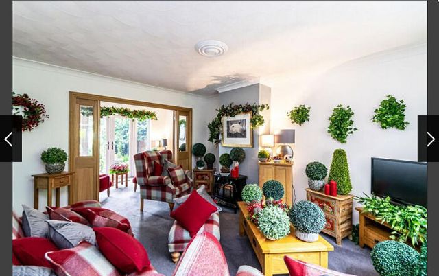 terriblerealestateagentphotos - фото 433071