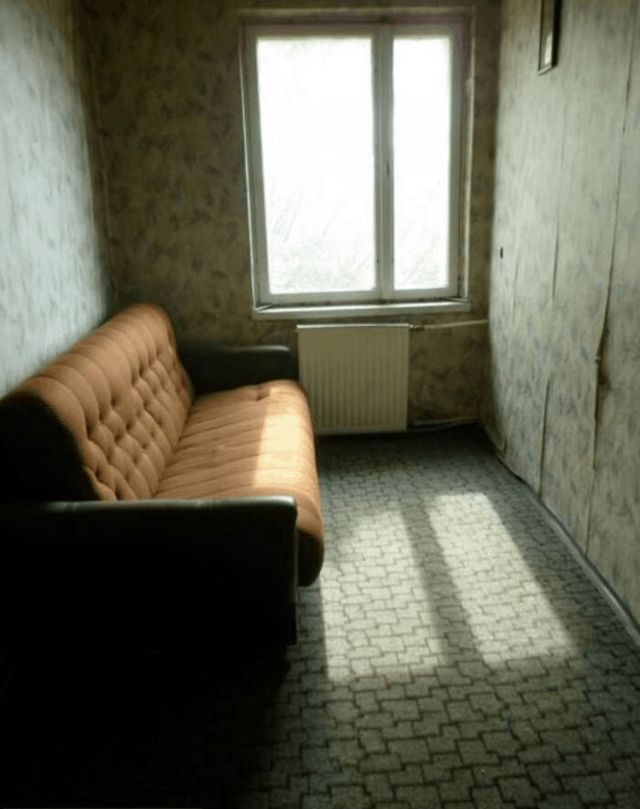 boredpanda - фото 433081