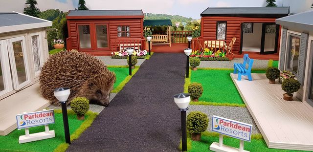 У Великобританії побудували перший в світі парк їжаків - фото 433108