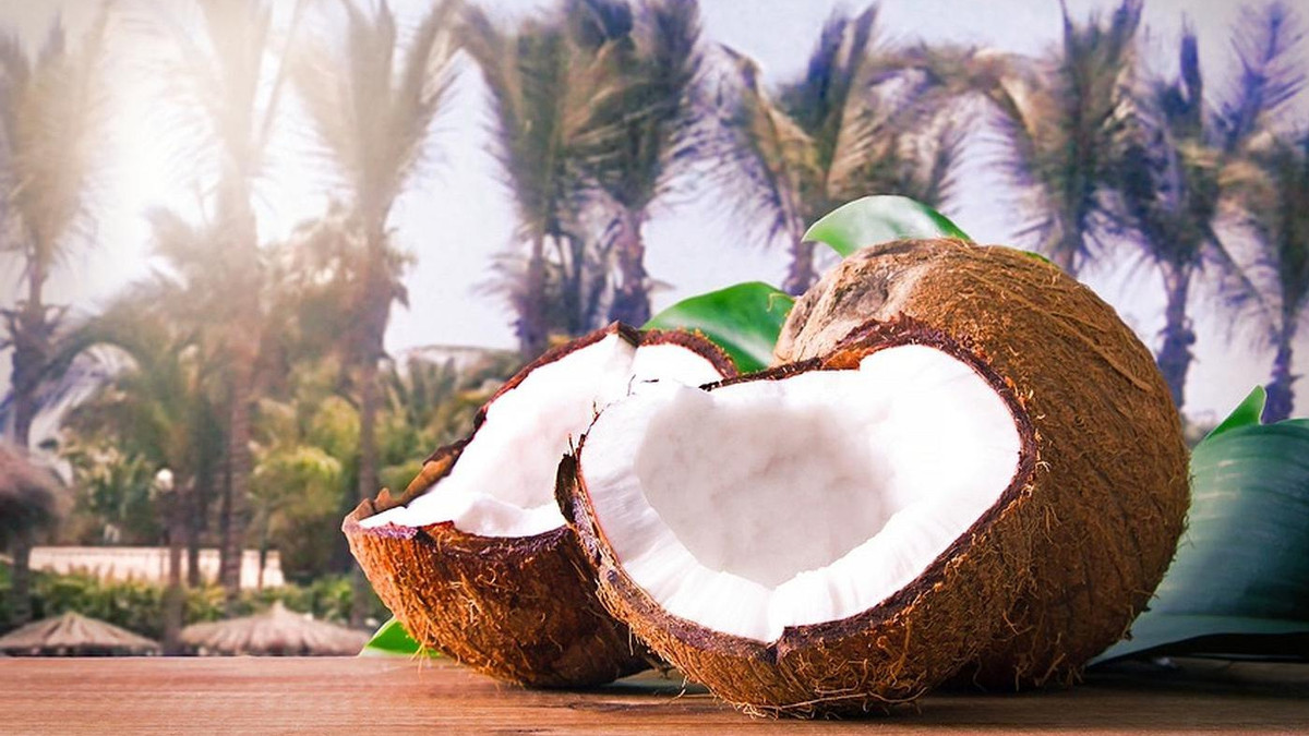 Студентам індонезійської академії дозволили платити за навчання кокосами - фото 1