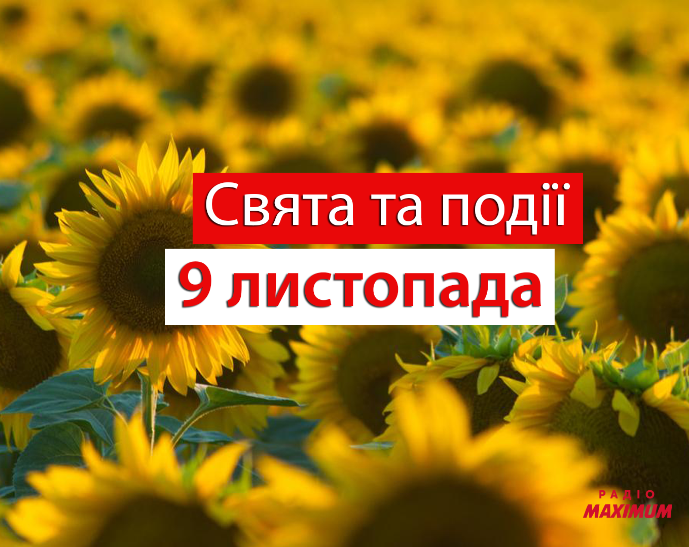 9 листопада 2020 – яке сьогодні свято: традиції, заборони і прикмети