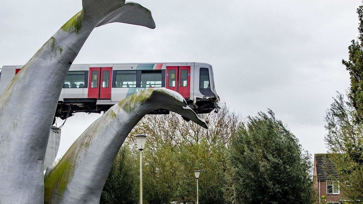Вагон, який завис на скульптурі кита у Нідерландах, опустили на землю: відео - фото 1