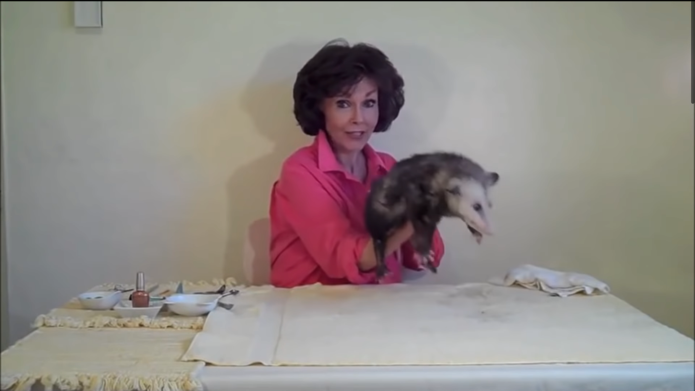 Знахідка дня: канал, на якому жінка розповідає, як доглядати за опосумами