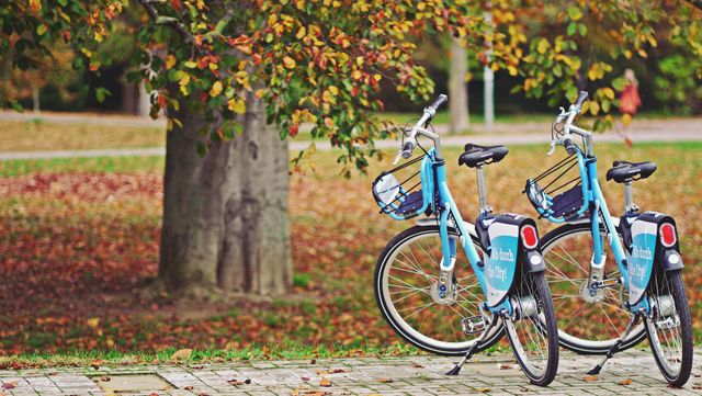 9 ідей, як цікаво провести час восени - фото 434046