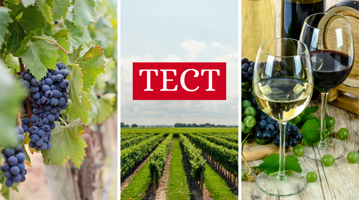 День винороба: Перевір, що ти знаєш про вино