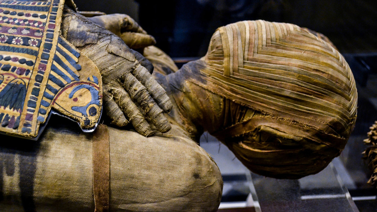 У Єгипті знайшли мумію-гіганта, яка змінює уявлення про давньоєгипетську цивілізацію - фото 1