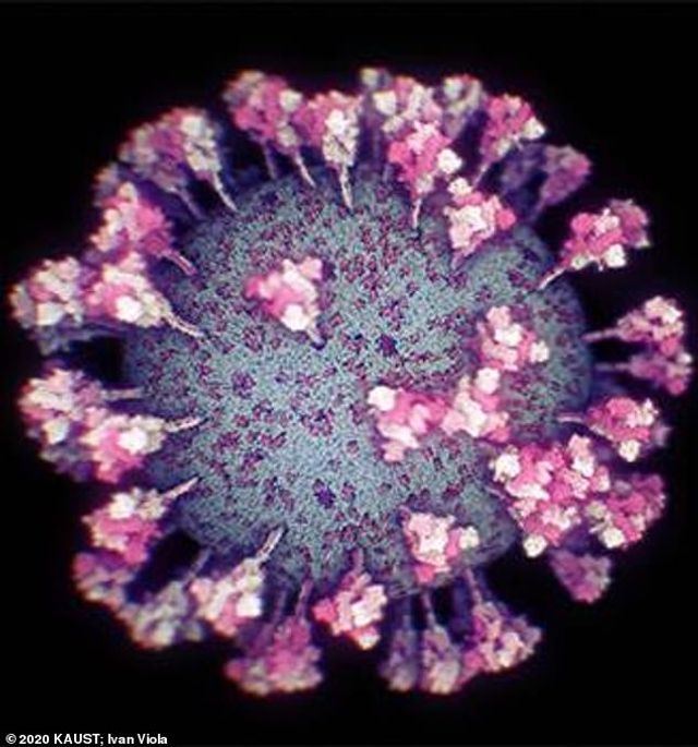 З'явилася найточніша 3D-модель коронавірусу: фото - фото 434295