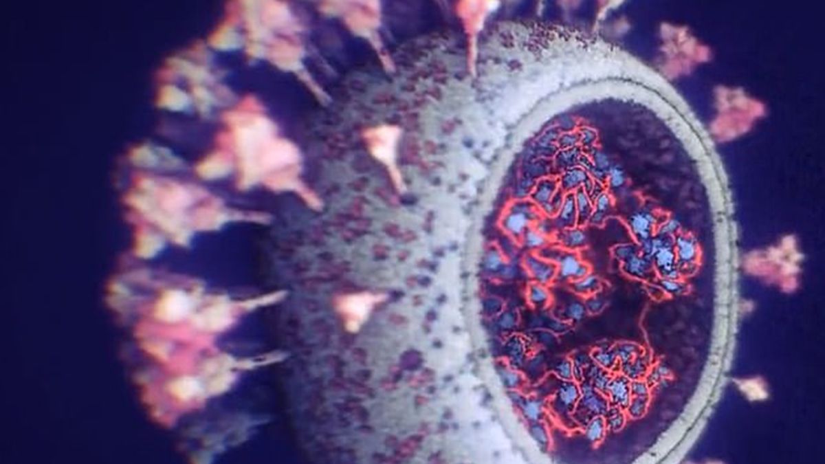 З'явилася найточніша 3D-модель коронавірусу: фото