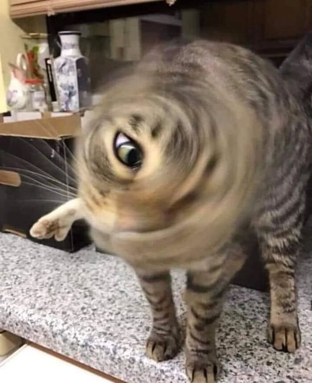 Kenia Venus - фото 434299