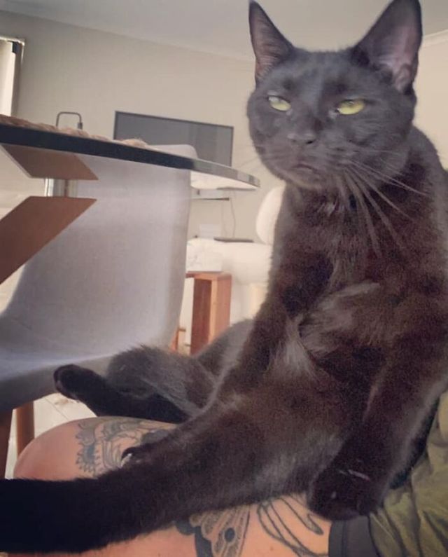 Samantha Wright - фото 434300