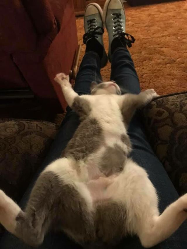 Jennifer Turpin - фото 434301