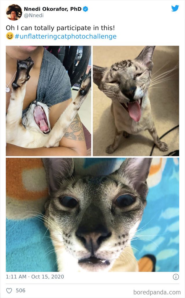 Nnedi - фото 434308