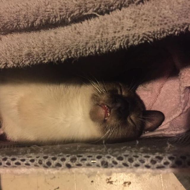 Brennan Stephenson - фото 434309