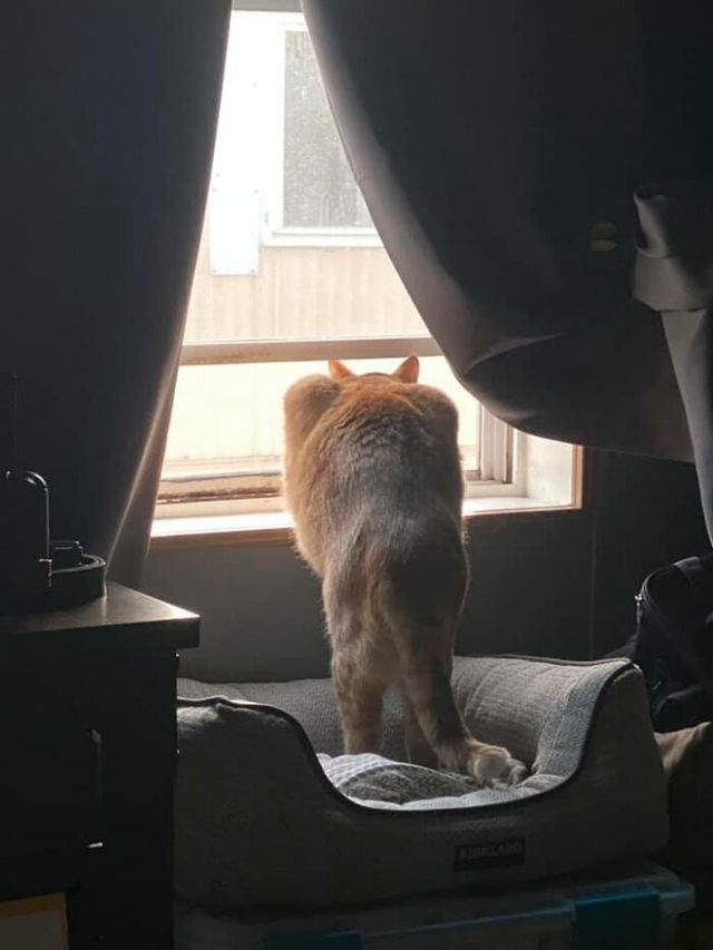 Rebecca Lin Florek - фото 434312