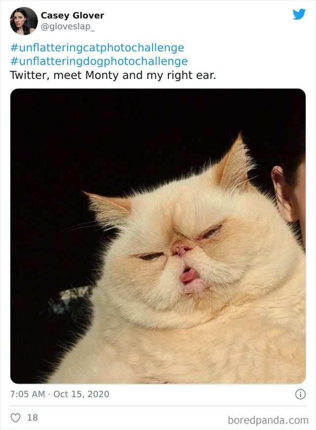 gloveslap_ - фото 434313