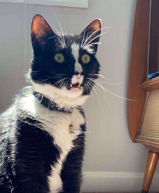 Morgan Hoffman - фото 434314