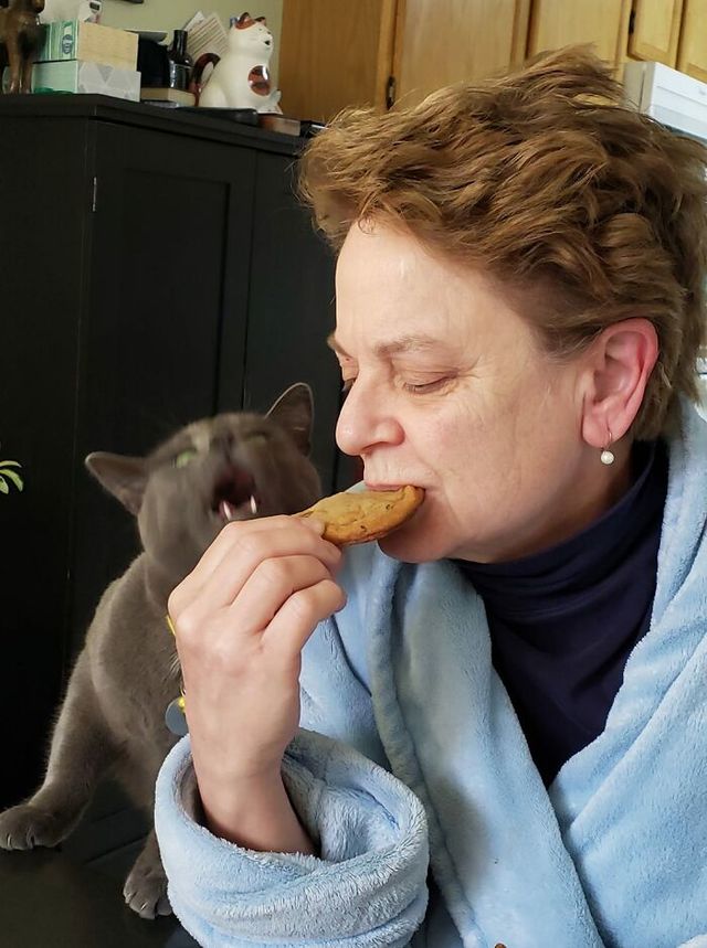 Alisa Mahmoud - фото 434315