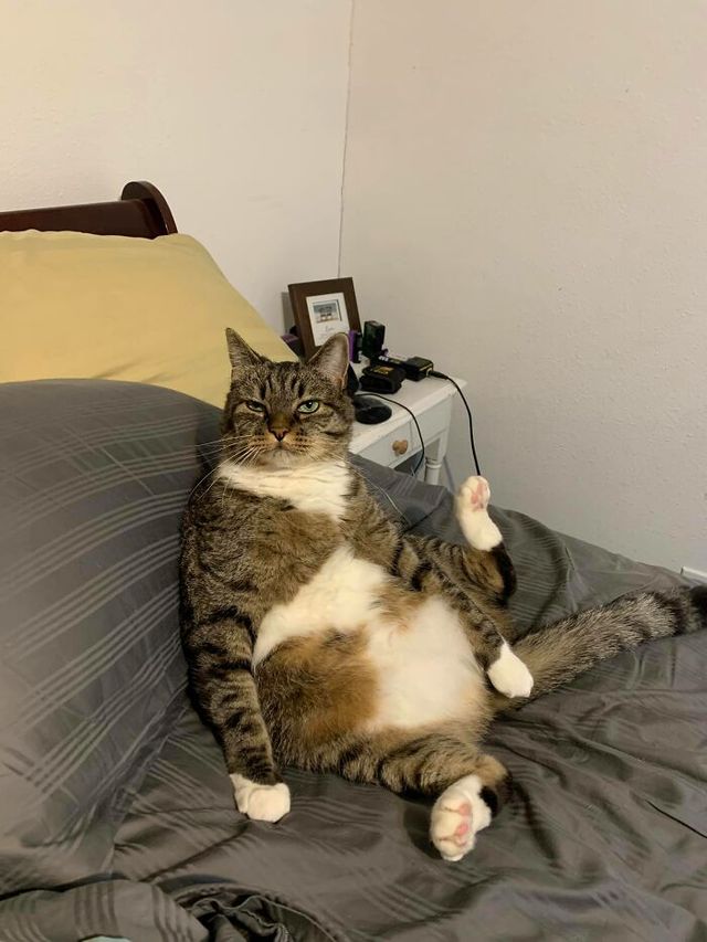 Matthew Boyd - фото 434316