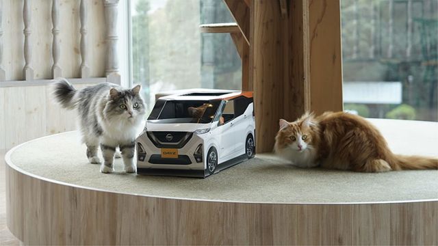 Nissan зробив наймилішу машину у світі: вашому пухнастику сподобається - фото 434373