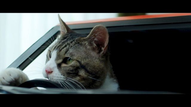 Nissan зробив наймилішу машину у світі: вашому пухнастику сподобається - фото 434379