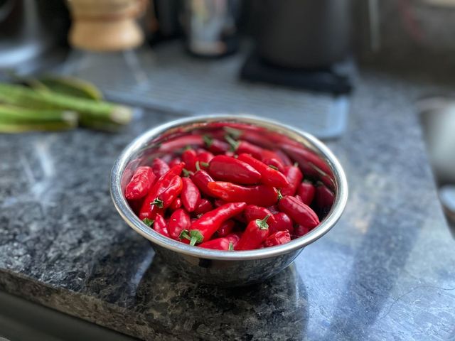 З'явилися фото з iPhone 12 mini: найкращий компактний камерофон на ринку? - фото 434416