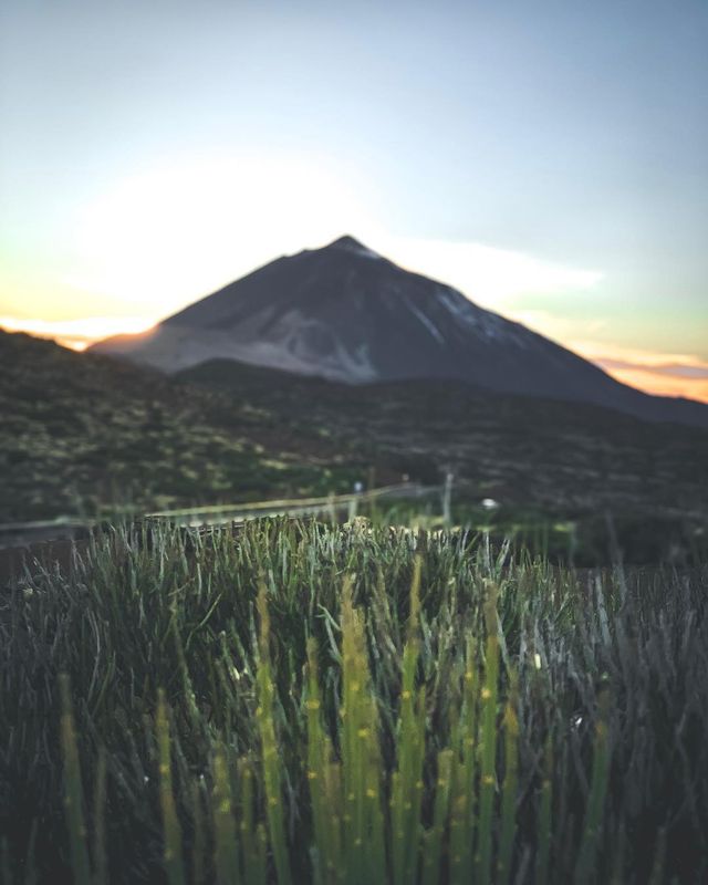 Подорожі світом, яких бракує всім: захопливі кадри шведського фотографа - фото 435171