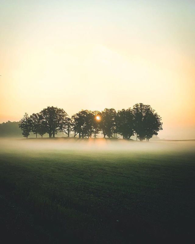 Подорожі світом, яких бракує всім: захопливі кадри шведського фотографа - фото 435184