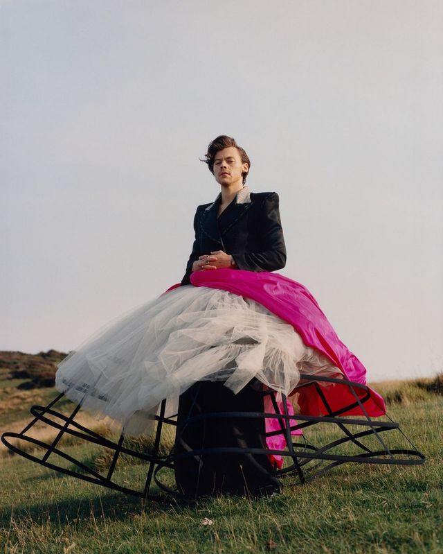 Гаррі Стайлс став першим чоловіком на обкладинці американського Vogue: сміливі фото - фото 435200