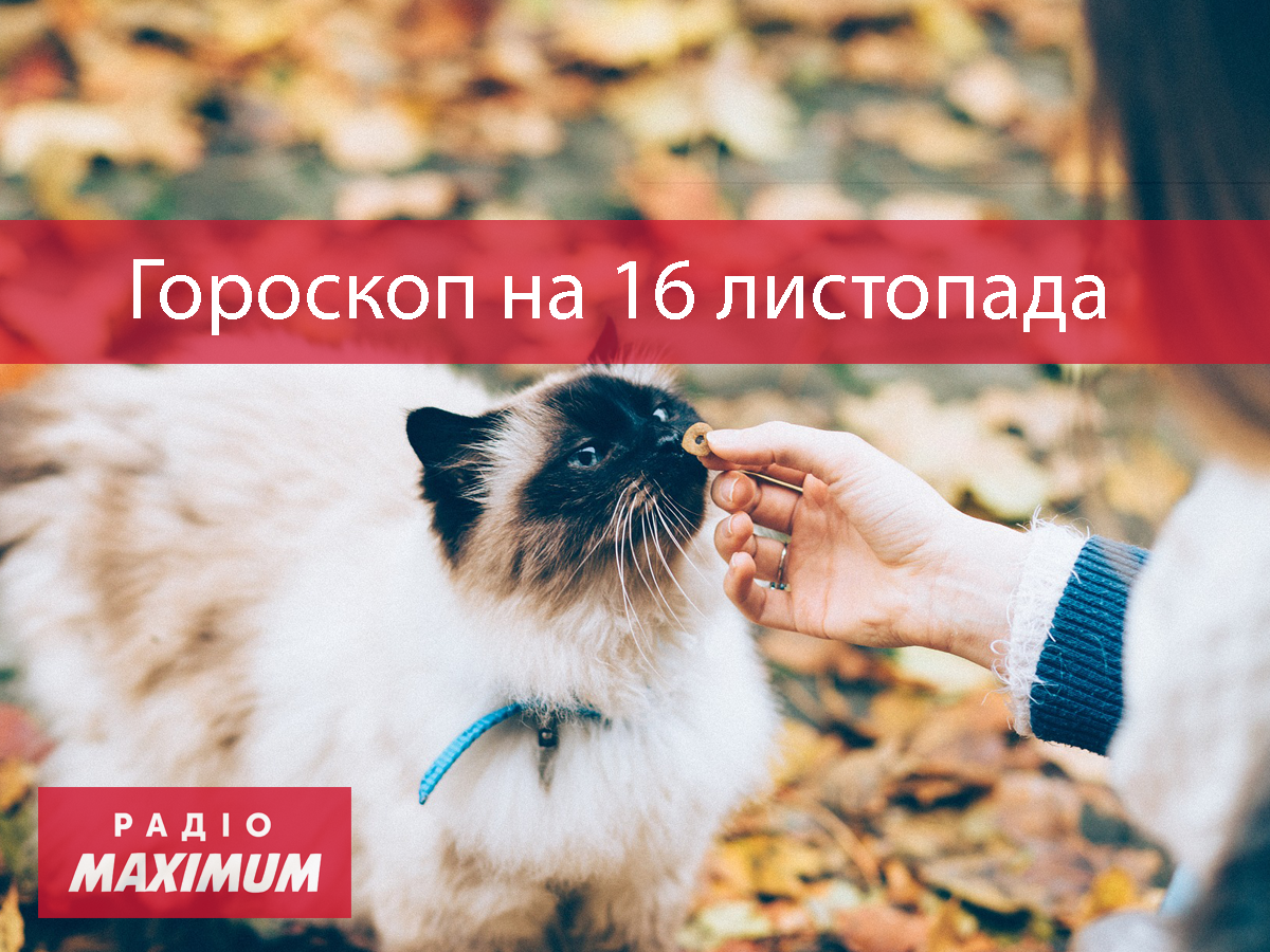 Гороскоп на 16 листопада 2020: прогноз для всіх знаків Зодіаку