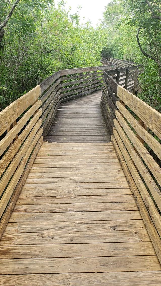 Kionix - фото 435365