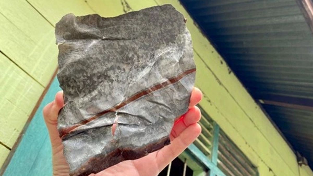 Трунар став мільйонером після падіння метеорита на його будинок