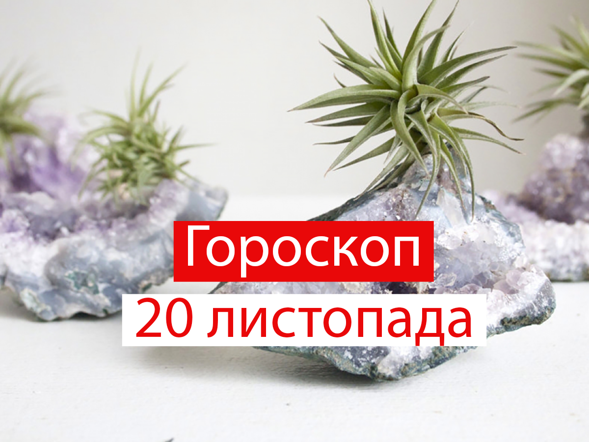 Гороскоп на 20 листопада 2020: прогноз для всіх знаків Зодіаку