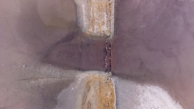 Марсіанські пейзажі в Україні: у мережі з'явилися приголомшливі фото Куяльницького лиману - фото 435765