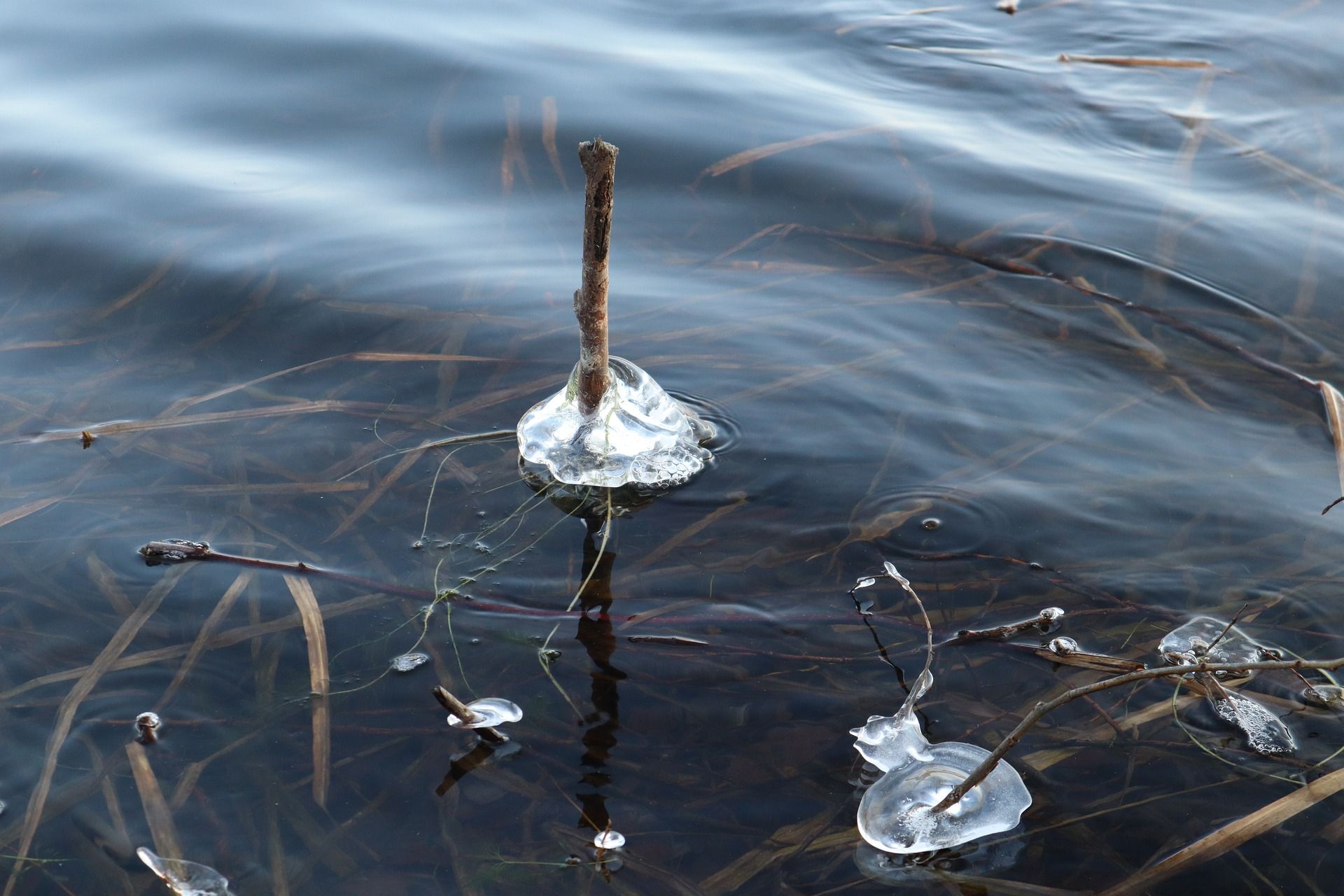 Рятувальники звернулись до українців з попередженням