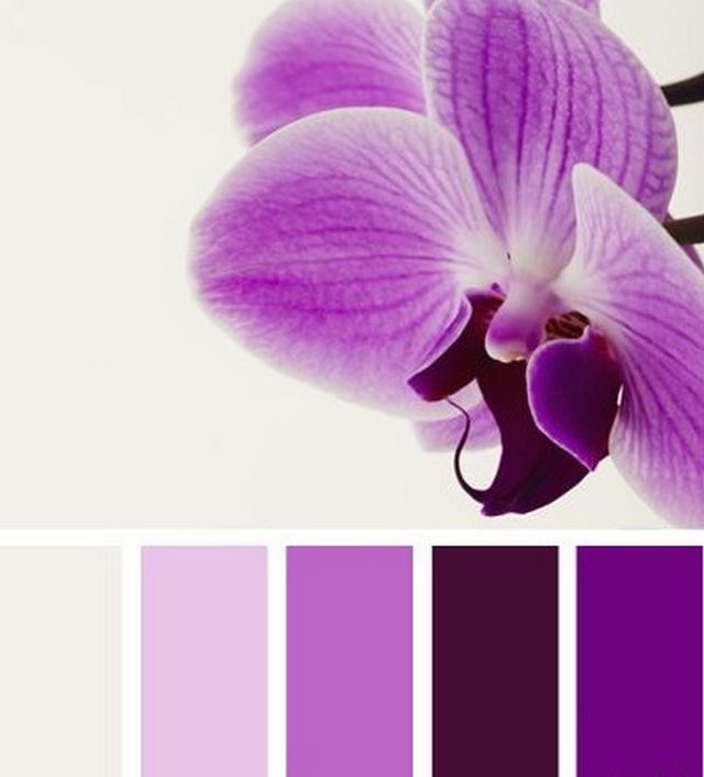 Три кольори, які у 2021 році будуть на піку популярності - фото 436252