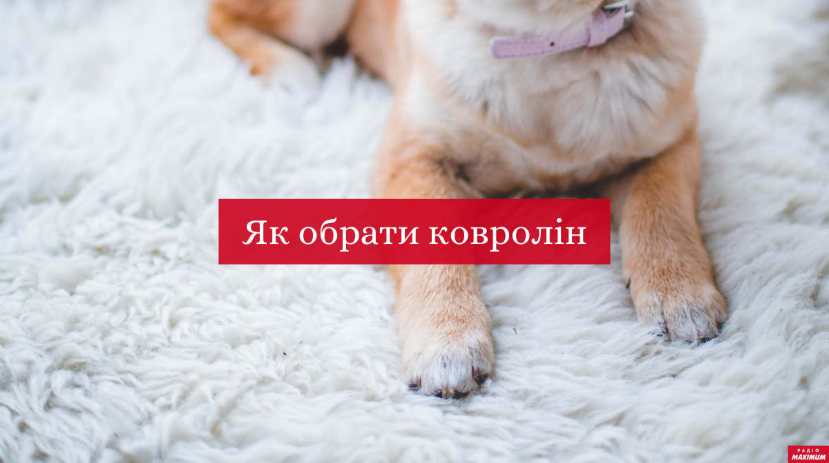 Ідеальний ковролін: як обрати найкраще покриття для підлоги