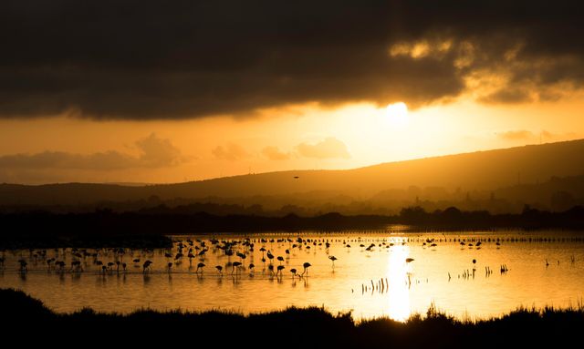 Найкращі знімки року за версією британського фотоконкурсу Capturing Ecology - фото 437019