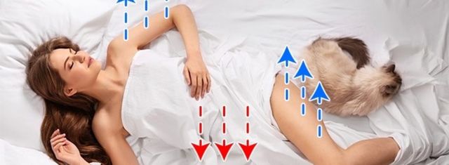 Медики назвали чотири вагомі причини спати без одягу - фото 437295