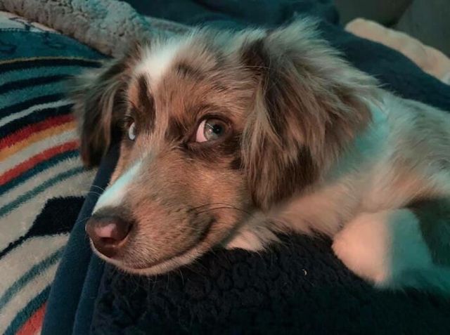 Daniel Dalton-Scamman - фото 437566