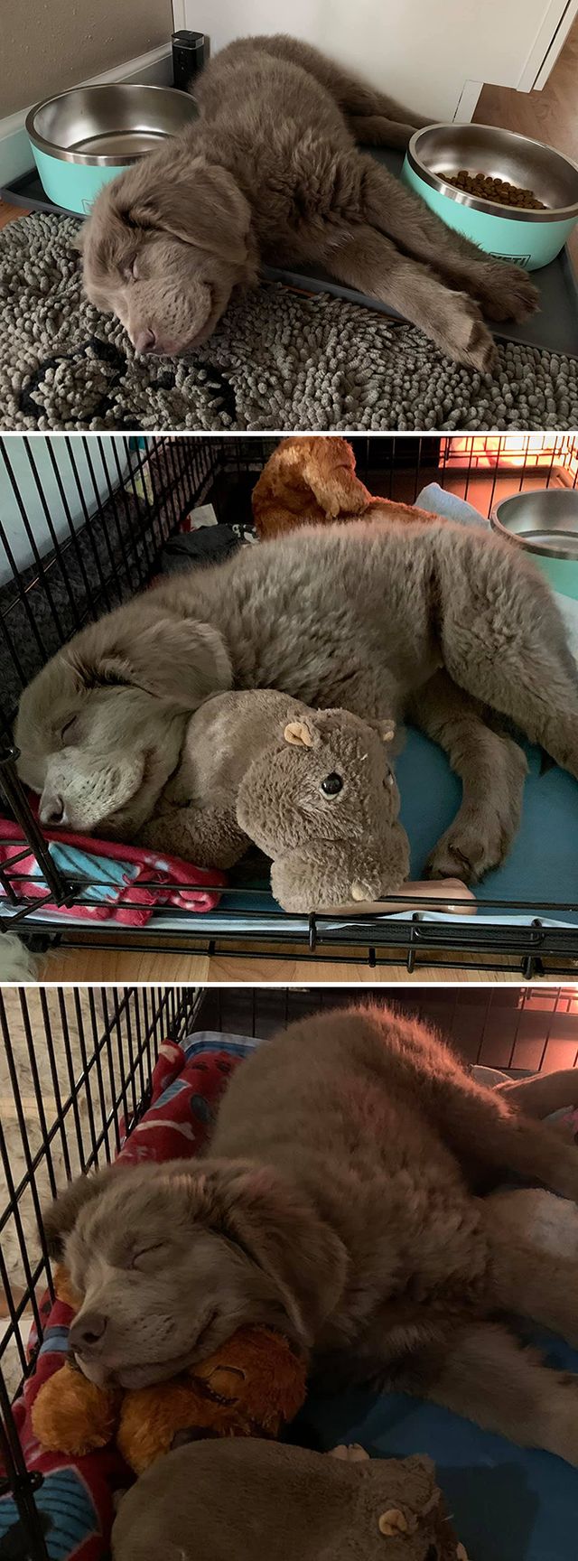 Ingrid Sievers - фото 437567